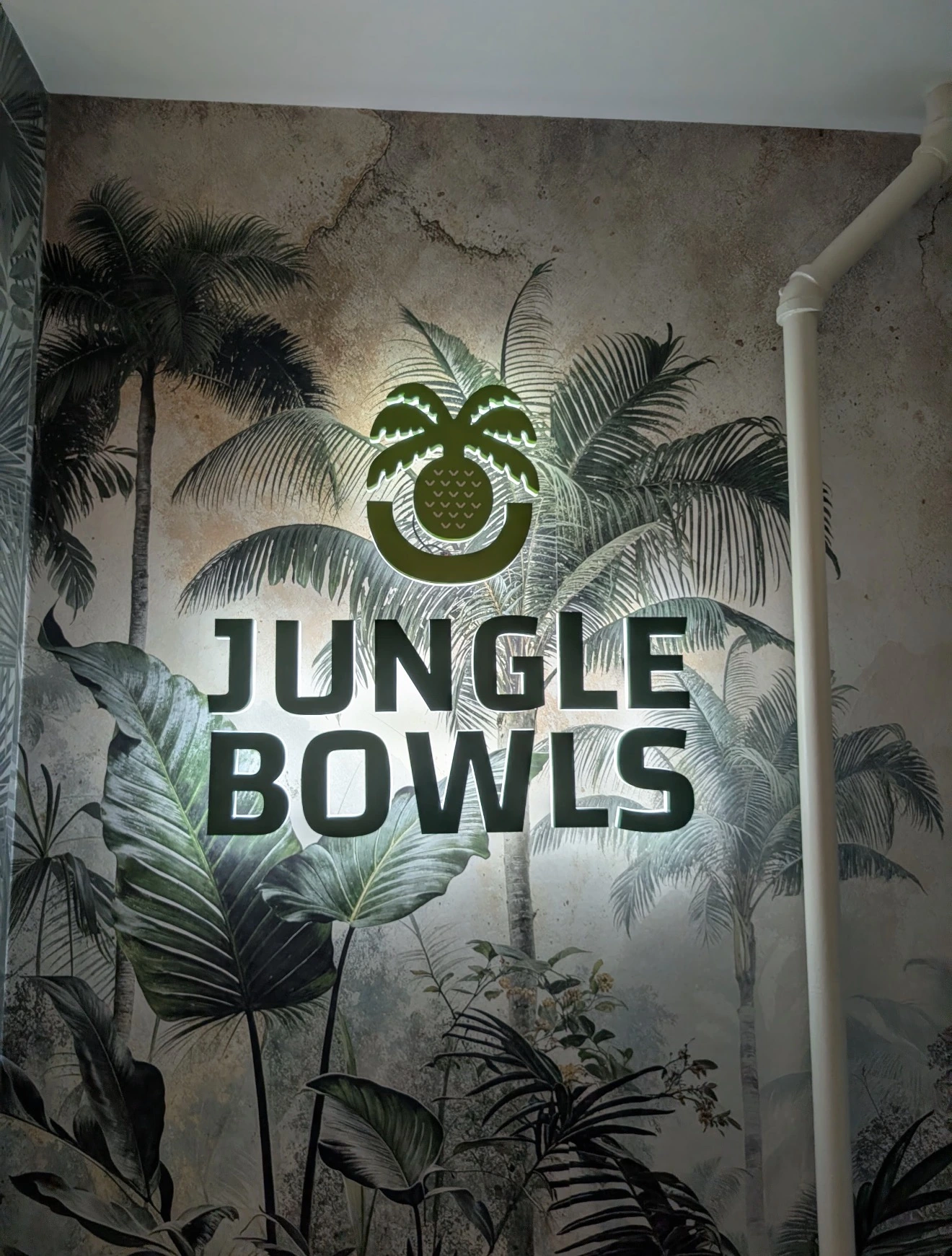 Jungle Bowls - Acai and Smoothie Bar - Horeca NYC