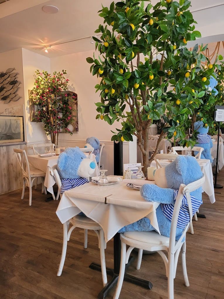 Elenis Divine Greek Cuisine Restaurant - Horeca NYC Elenis Divine Greek Cuisine Restaurant - Horeca NYC
